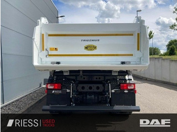 Camion benne neuf DAF XD 450 FAD 8x4 Meiller Trigenius Bordmatik: photos 3