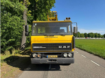Camion grue DAF 2500: photos 2