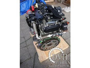 Moteur pour Camion neuf IVECO IVECO F1AGL411L-C104: photos 5