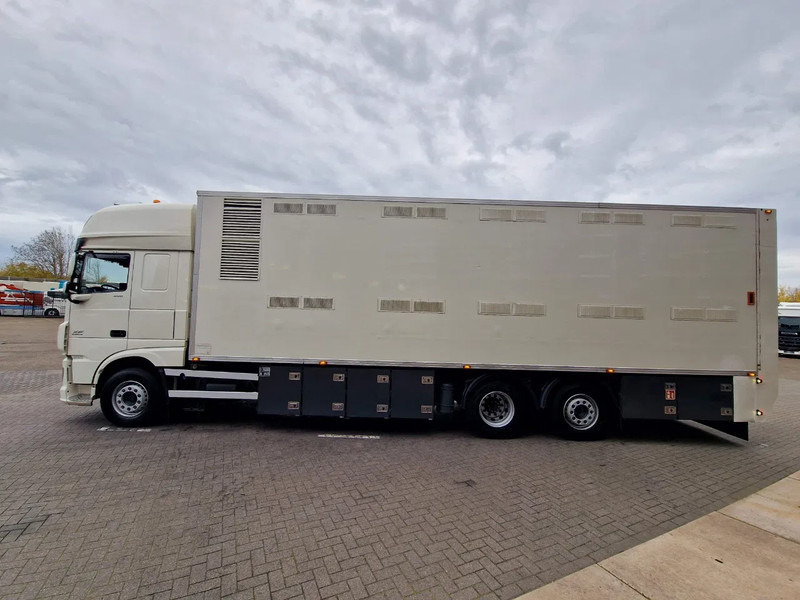 DAF XF 440 SuperSpaceCab 6x2*4 - 2 deck Closed Livestock - 40M2 - Filtersystem - Camion bétaillère: photos 4 DAF XF 440 SuperSpaceCab 6x2*4 - 2 deck Closed Livestock - 40M2 - Filtersystem - Camion bétaillère: photos 4