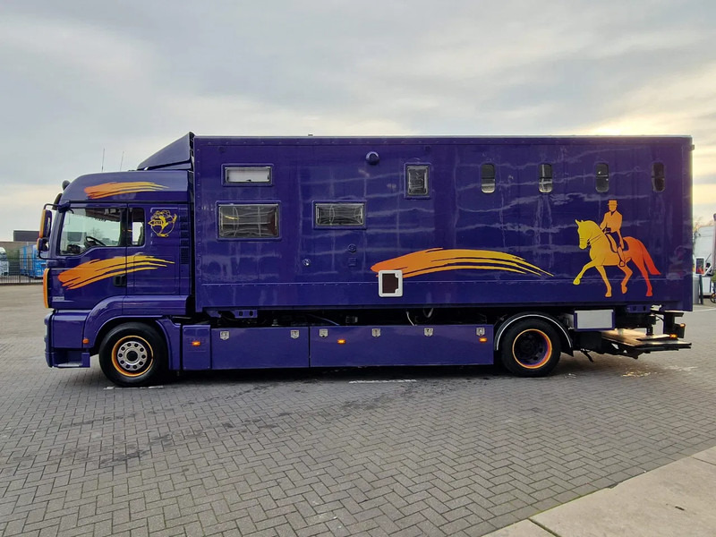 MAN TGA 18.360 4x2 - Horse truck + full camper - 4 seats - Loadramp - Automatic gearbox - Camion chevaux: photos 5 MAN TGA 18.360 4x2 - Horse truck + full camper - 4 seats - Loadramp - Automatic gearbox - Camion chevaux: photos 5