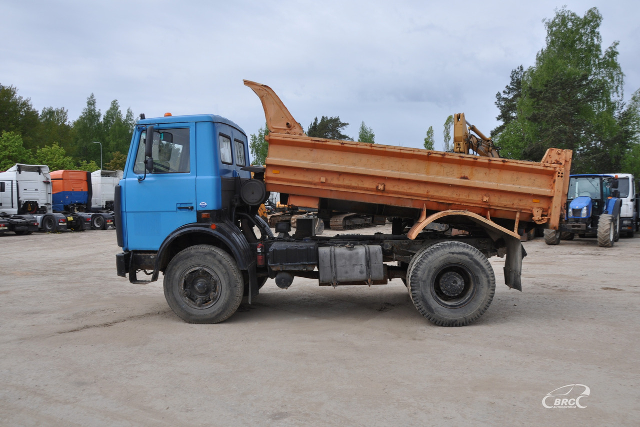 MAZ 5551 - Camion benne: photos 3 MAZ 5551 - Camion benne: photos 3