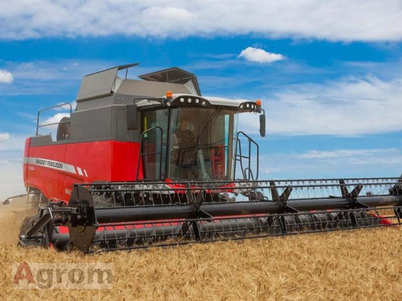 Massey Ferguson 7360 Beta - Moissonneuse-batteuse: photos 3 Massey Ferguson 7360 Beta - Moissonneuse-batteuse: photos 3