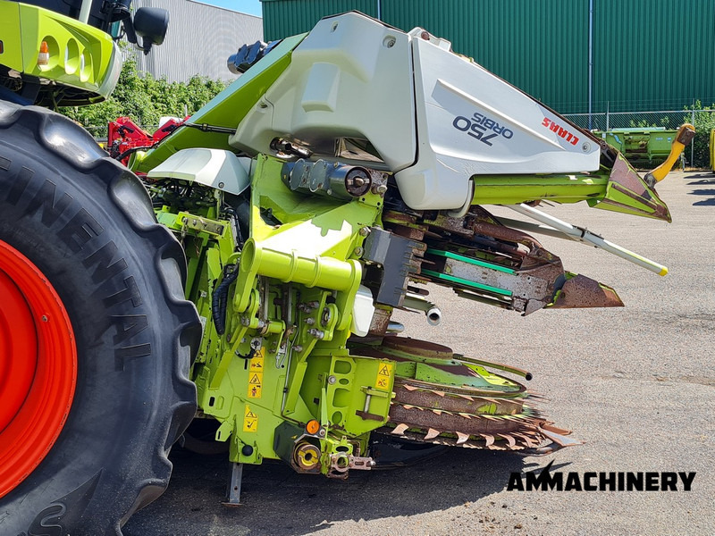 Cueilleur de maïs pour transport de la nourriture Claas Orbis 750 Rotary corn header: photos 15