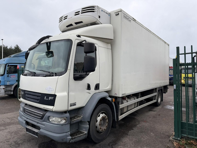 DAF LF 55.300 - 19T FRIGO THERMOKING TS-300e - TAILLIFT - BOX 6m45 x 2m49 x 2m49 - EURO 5 - A/C - BE TRUCK - Camion frigorifique: photos 3 DAF LF 55.300 - 19T FRIGO THERMOKING TS-300e - TAILLIFT - BOX 6m45 x 2m49 x 2m49 - EURO 5 - A/C - BE TRUCK - Camion frigorifique: photos 3