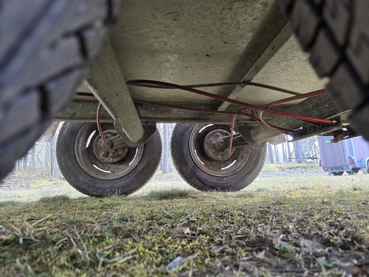 Remorque bétaillère PONGRATZ PA 310 T: photos 6