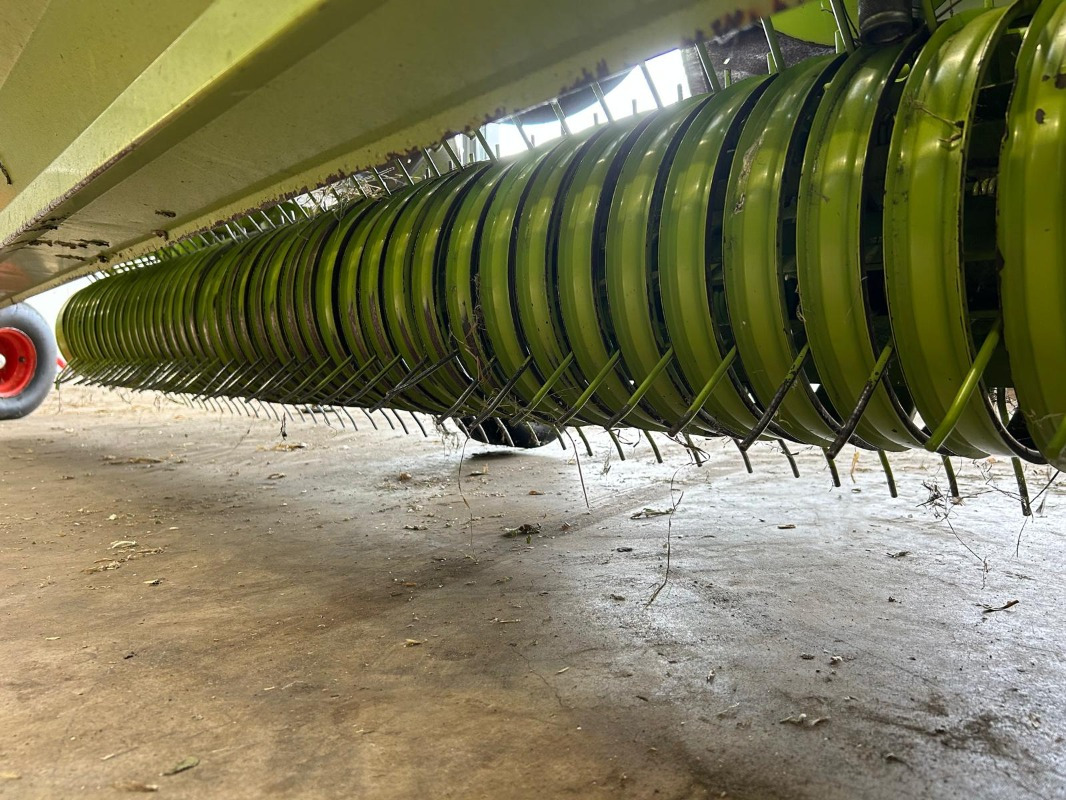 CLAAS Jaguar 890 mit Kemper 360 und PU - crédit-bail CLAAS Jaguar 890 mit Kemper 360 und PU: photos 37