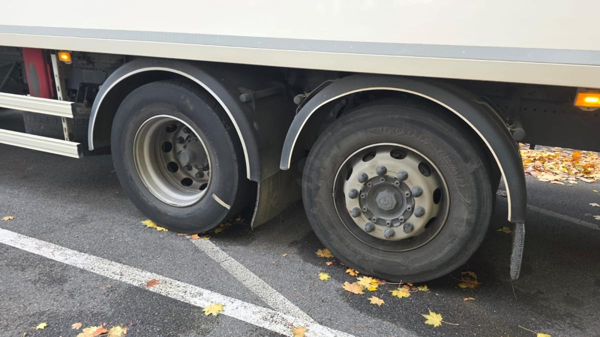 Camion frigorifique Scania P 320: photos 6