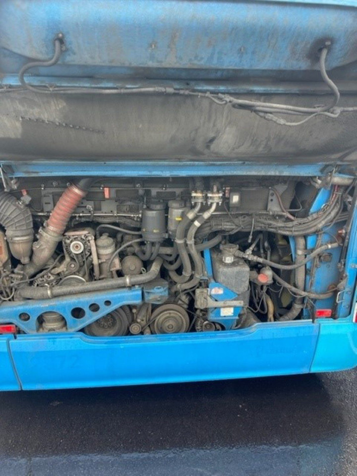 MAN Lions City A44 LLE Euro 6 - Bus urbain: photos 5 MAN Lions City A44 LLE Euro 6 - Bus urbain: photos 5