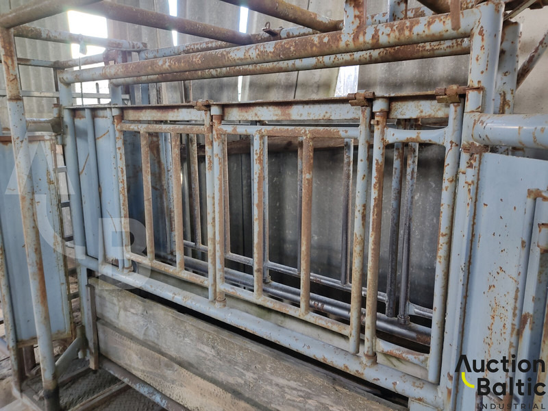 For Most - Matériel d'élevage: photos 4 For Most - Matériel d'élevage: photos 4