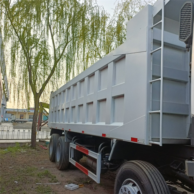 Camion benne HOWO 8x4 371hp-White Tipper: photos 9