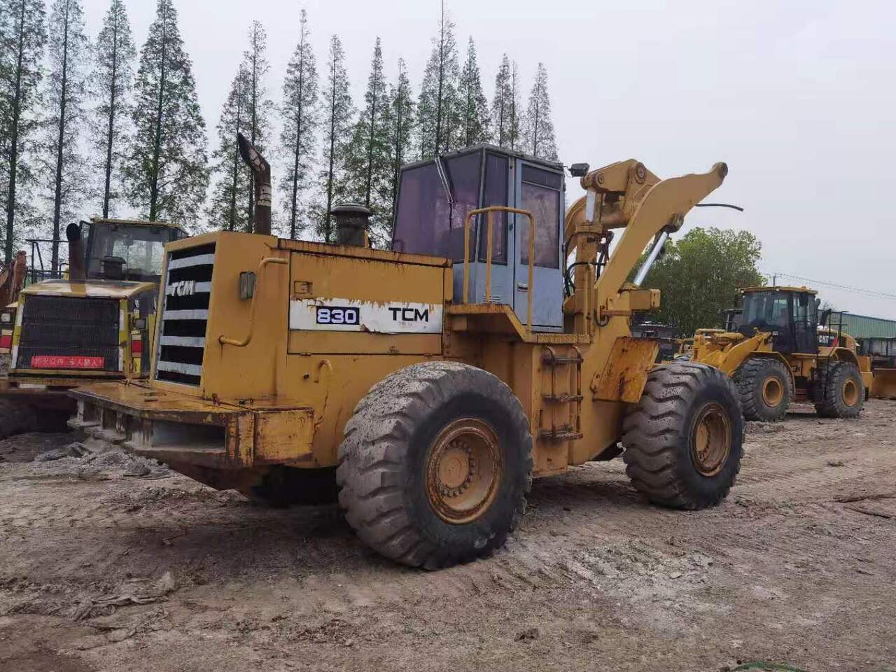 TCM 830 - Chargeuse sur pneus: photos 2 TCM 830 - Chargeuse sur pneus: photos 2