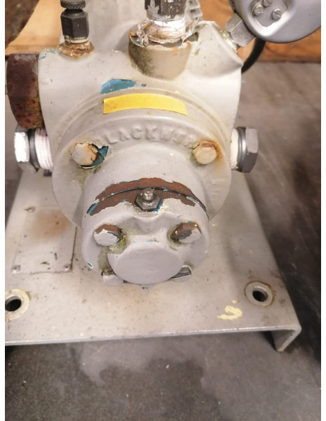 Blackmer Used LGL1PD Pump Gas, Gaz, LPG, GPL, Propane, Butane Gas, Gaz, LPG, GPL, Propane, Butane - Pompe à eau: photos 3 Blackmer Used LGL1PD Pump Gas, Gaz, LPG, GPL, Propane, Butane Gas, Gaz, LPG, GPL, Propane, Butane - Pompe à eau: photos 3