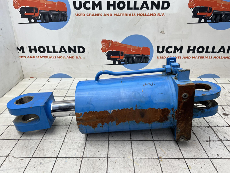 Liebherr LTM 1400-7.1 luffing cylinder TY-frame - Suspension pour Grue: photos 5 Liebherr LTM 1400-7.1 luffing cylinder TY-frame - Suspension pour Grue: photos 5
