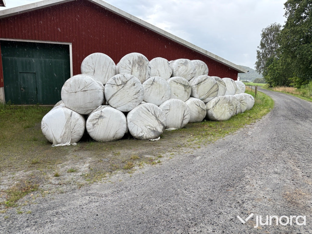 Helsädesensilage - 75 st - Matériel d'élevage: photos 1 Helsädesensilage - 75 st - Matériel d'élevage: photos 1