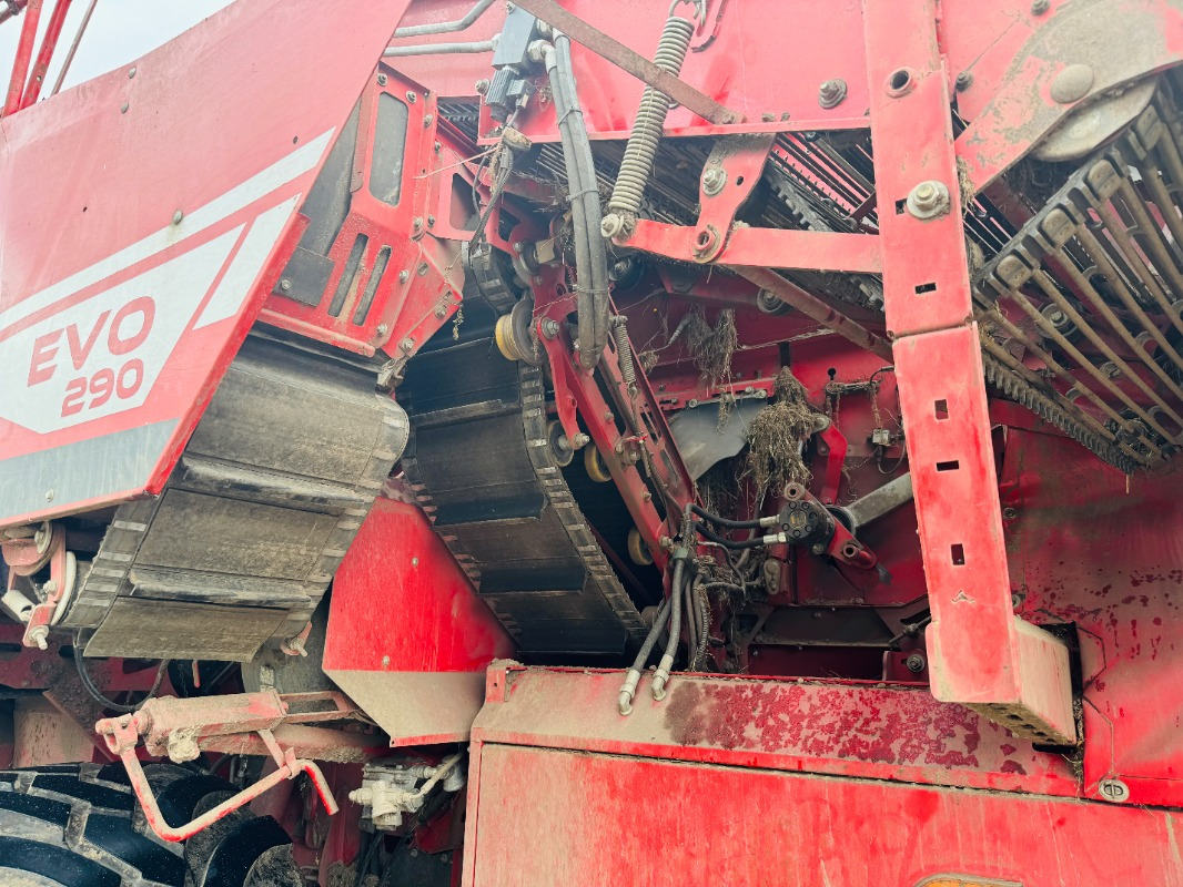 Arracheuse de pommes de terre GRIMME EVO 290 AirSep: photos 9