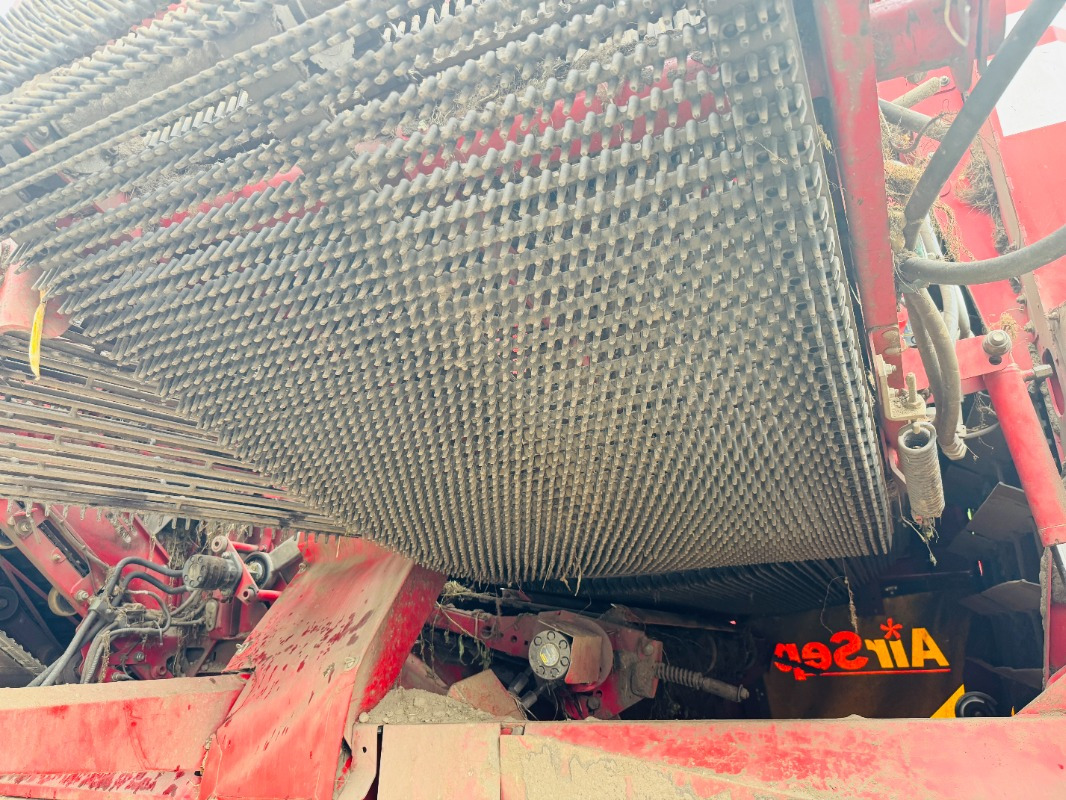 Arracheuse de pommes de terre GRIMME EVO 290 AirSep: photos 10
