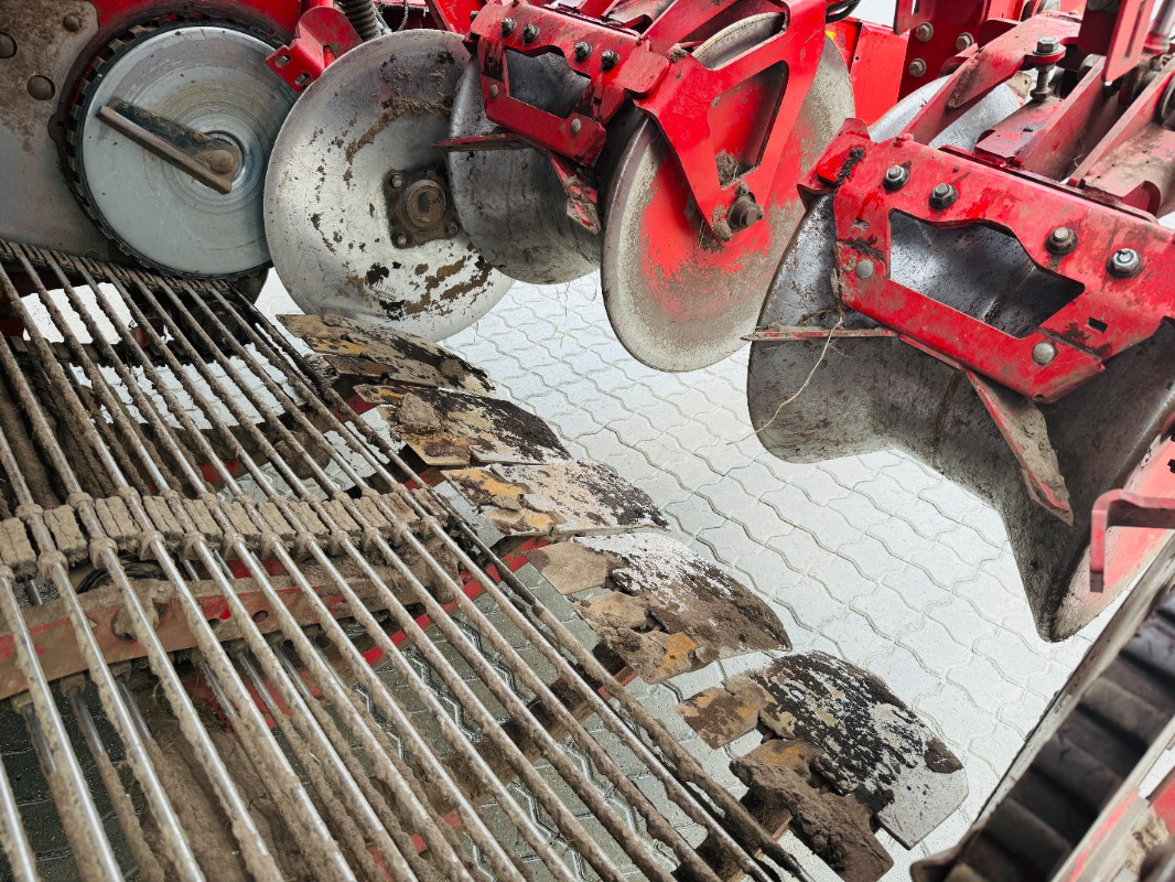 Arracheuse de pommes de terre GRIMME EVO 290 AirSep: photos 13