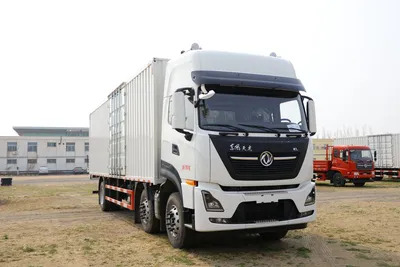 8-Wheeler Cargo Truck Dongfeng 25 Ton Truck - Camion fourgon: photos 1 8-Wheeler Cargo Truck Dongfeng 25 Ton Truck - Camion fourgon: photos 1