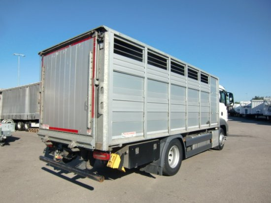 MAN TGS 18.420 Tiertransporter,Euro 6, Manual Seilwinde, el. Ladebordwand Voll Luft - Camion chevaux: photos 4 MAN TGS 18.420 Tiertransporter,Euro 6, Manual Seilwinde, el. Ladebordwand Voll Luft - Camion chevaux: photos 4