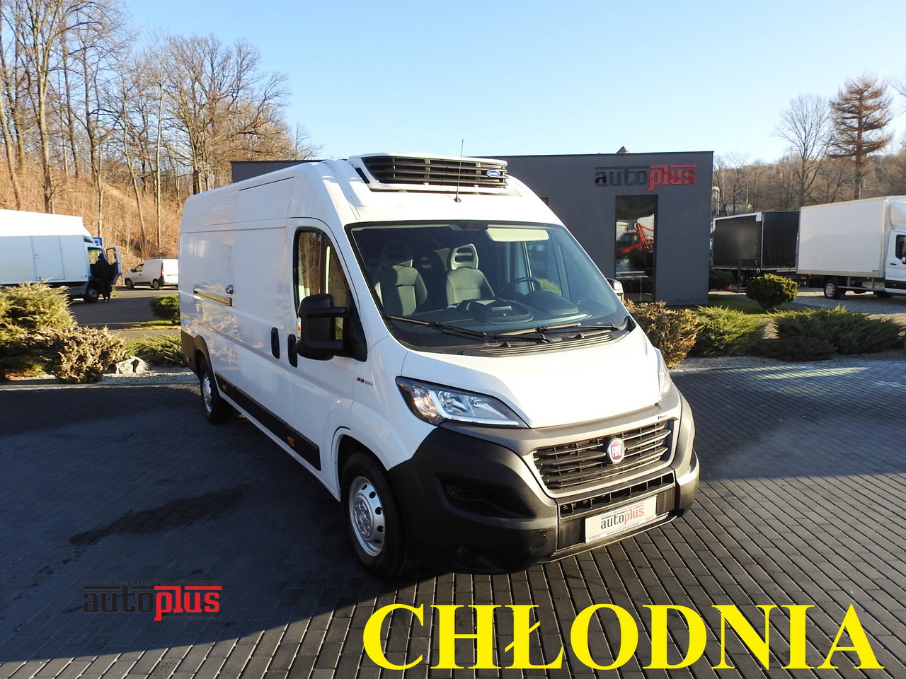 FIAT DUCATO REFRIGERATOR VAN -10*C POWER SUPPLY 230V AIR CONDITIONING  175HP - Utilitaire frigorifique: photos 1 FIAT DUCATO REFRIGERATOR VAN -10*C POWER SUPPLY 230V AIR CONDITIONING  175HP - Utilitaire frigorifique: photos 1