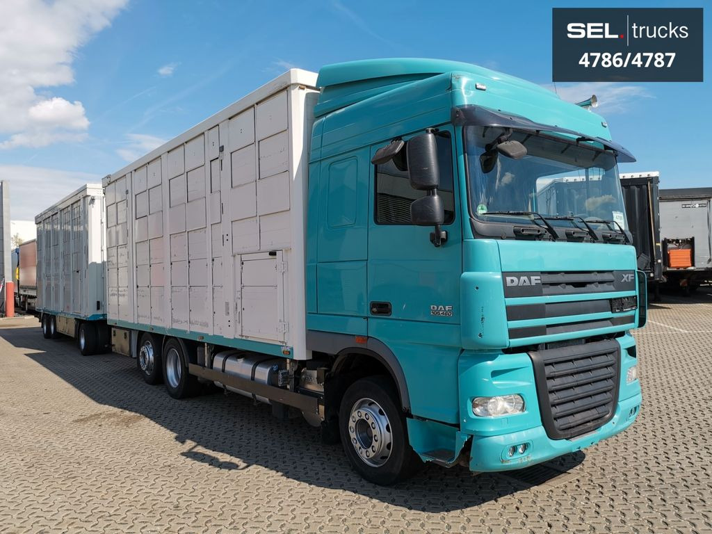 DAF XF 105.460 / Intarder / 4 Stock / KOMPLETT ! DAF XF 105.460 / Intarder / 4 Stock / KOMPLETT ! - Camion bétaillère: photos 4 DAF XF 105.460 / Intarder / 4 Stock / KOMPLETT ! DAF XF 105.460 / Intarder / 4 Stock / KOMPLETT ! - Camion bétaillère: photos 4