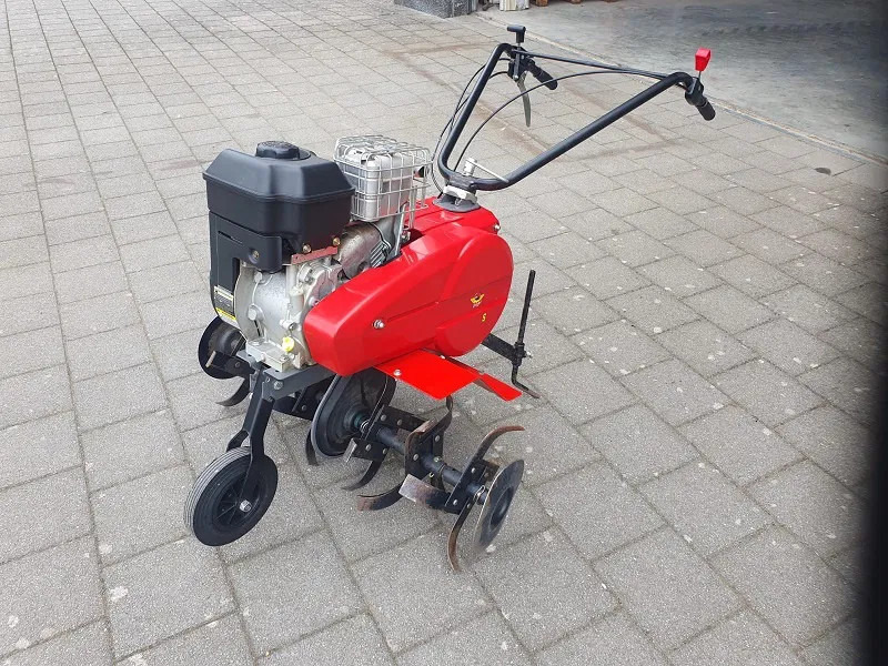 Outils du sol Diversen Freesmachine INTER190 – 5.5 PK: photos 1