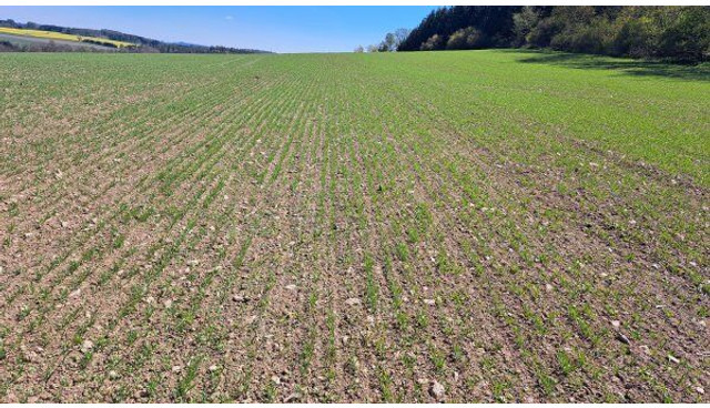 Farmet Falcon 6 PRO Fert+ - Combiné de semis: photos 3 Farmet Falcon 6 PRO Fert+ - Combiné de semis: photos 3