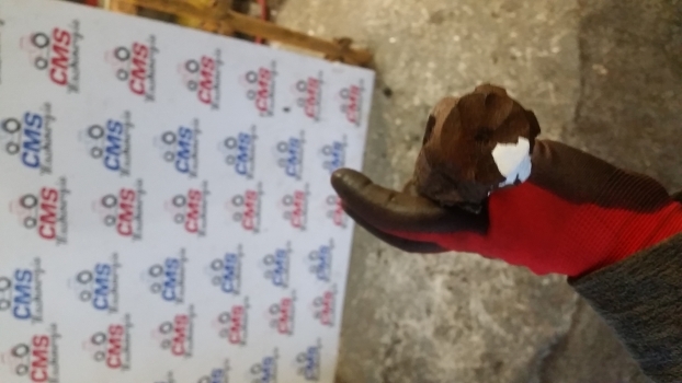 New Holland Fiat Case 60, M, Tm, Tm7000, Mxm S. 8360 4wd Propeller Shaft 5168036 - Arbre à cardan pour Tracteur agricole: photos 4 New Holland Fiat Case 60, M, Tm, Tm7000, Mxm S. 8360 4wd Propeller Shaft 5168036 - Arbre à cardan pour Tracteur agricole: photos 4