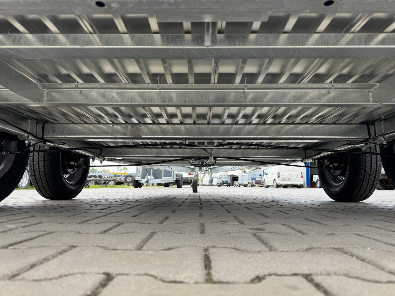 Cheval Liberté Gold Origins ALU 2000 kg - crédit-bail Cheval Liberté Gold Origins ALU 2000 kg: photos 15