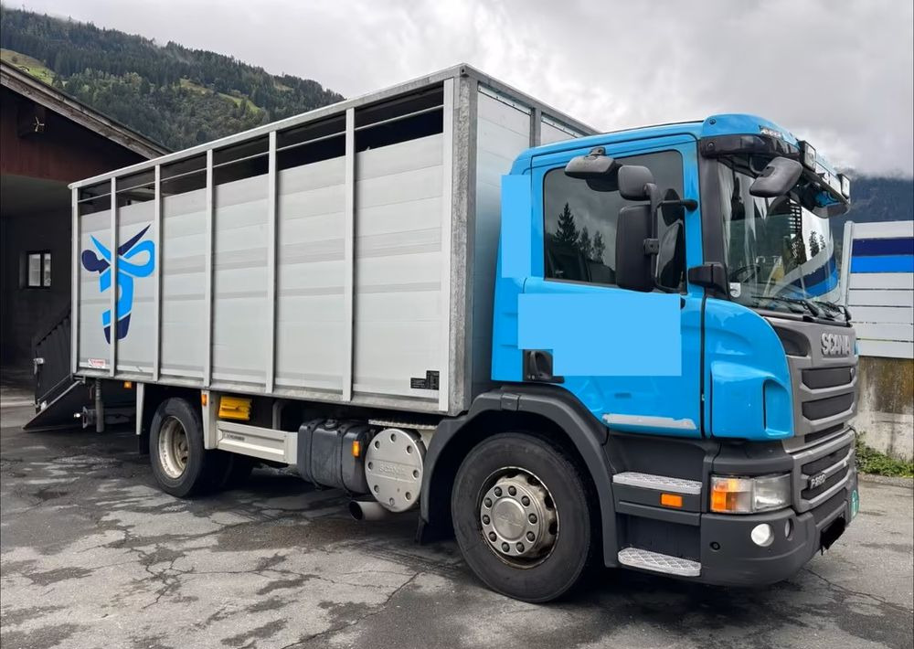 Scania P280 4x2 – Pojazd do przewozu zwierząt VIEHFAHRZEUG / jednopoziomowy – 171.000 km!! – Euro 5 - Camion bétaillère: photos 2 Scania P280 4x2 – Pojazd do przewozu zwierząt VIEHFAHRZEUG / jednopoziomowy – 171.000 km!! – Euro 5 - Camion bétaillère: photos 2