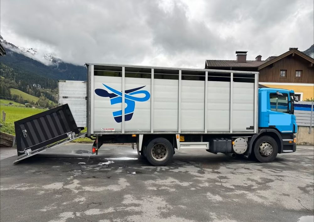 Scania P280 4x2 – Pojazd do przewozu zwierząt VIEHFAHRZEUG / jednopoziomowy – 171.000 km!! – Euro 5 - Camion bétaillère: photos 4 Scania P280 4x2 – Pojazd do przewozu zwierząt VIEHFAHRZEUG / jednopoziomowy – 171.000 km!! – Euro 5 - Camion bétaillère: photos 4