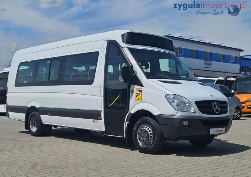 Minibus, Transport de personnes Mercedes-Benz SPRINTER 513 CDI / SPROWADZONY / EEV / KLIMA: photos 1