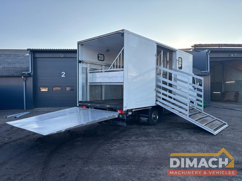 DAF FA LF45.150 4 paards, laadlift. Horsetruck NL truck - Camion chevaux: photos 2 DAF FA LF45.150 4 paards, laadlift. Horsetruck NL truck - Camion chevaux: photos 2