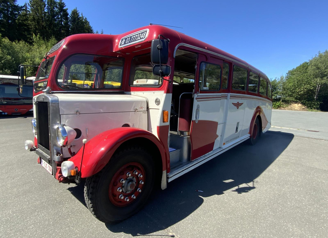 Leyland Tiger TS6 - Bus: photos 2 Leyland Tiger TS6 - Bus: photos 2