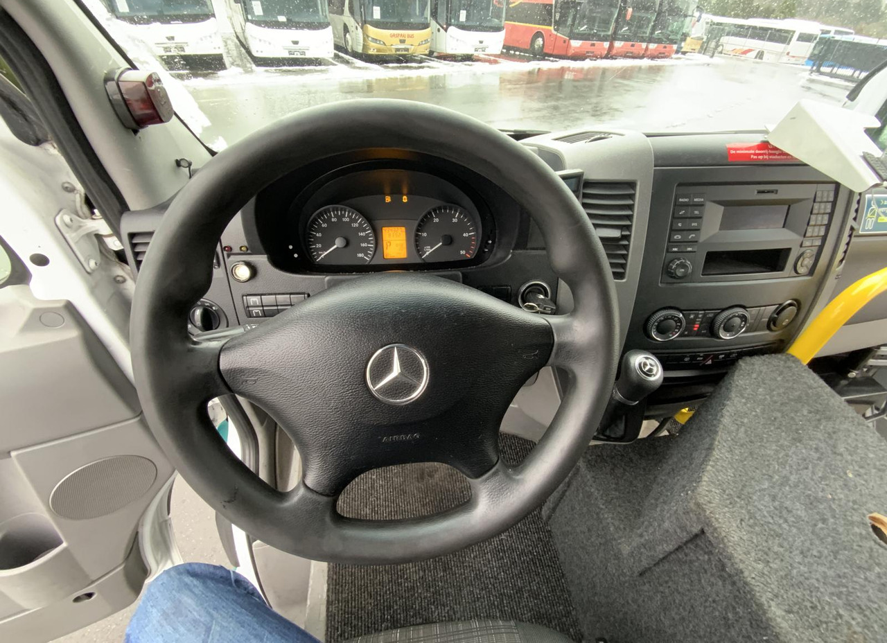 Minibus, Transport de personnes Mercedes-Benz 313 CDI Sprinter: photos 16