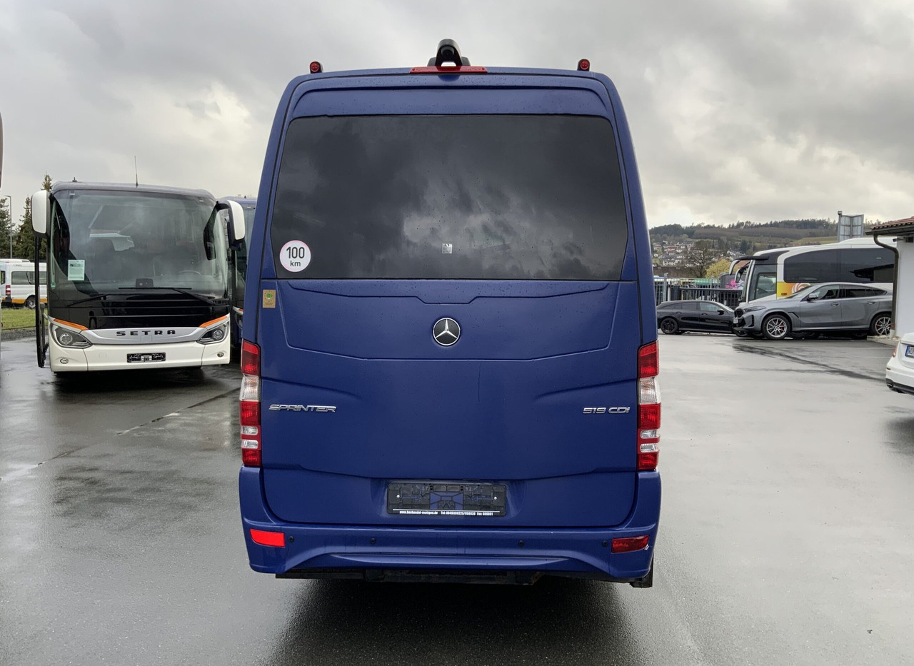 Minibus, Transport de personnes Mercedes-Benz 519 CDI Sprinter: photos 9