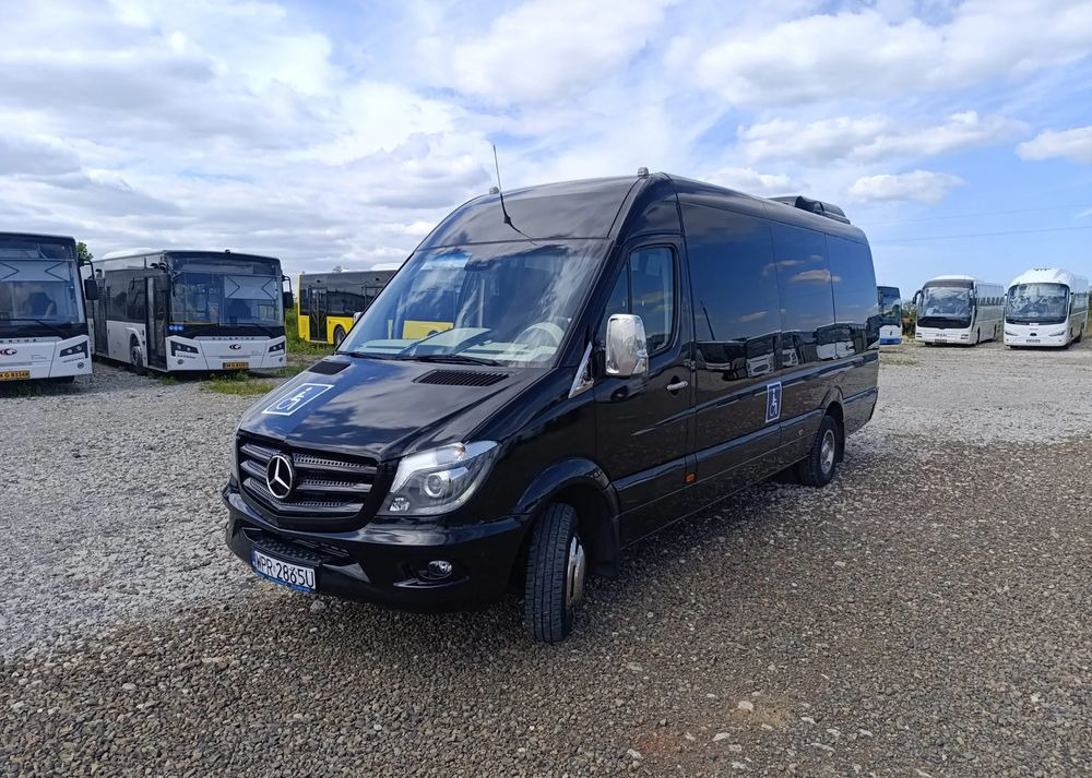 Minibus, Transport de personnes Mercedes-Benz Sprinter 519: photos 12