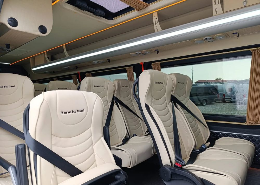 Minibus, Transport de personnes neuf Mercedes-Benz Sprinter 519: photos 19