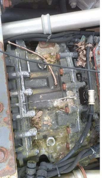 Renault Premium 420 Dci Engine + Automatic Gearbox - Moteur pour Camion: photos 5 Renault Premium 420 Dci Engine + Automatic Gearbox - Moteur pour Camion: photos 5