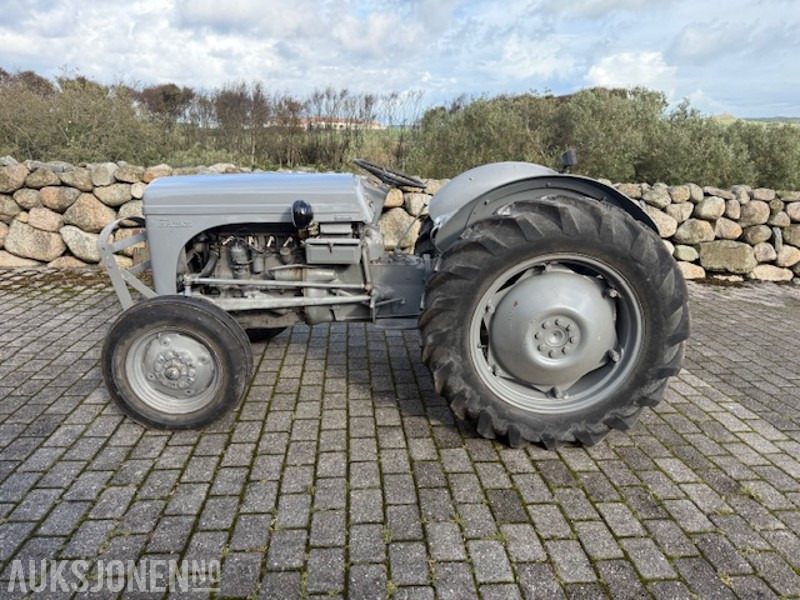 Tracteur agricole 1960 Massey Ferguson Gråtass: photos 1
