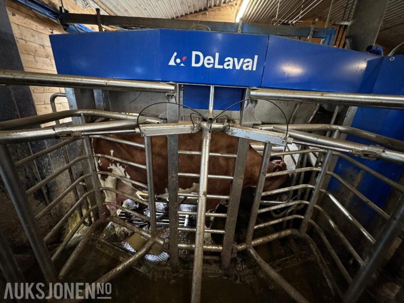 2013 DeLaval VMS melkerobot med 1 kraftfôrstasjon FSC40 - Høyre utgave - Steam - Innredning og grinder foran - Vakuumpumpe - Fortsatt i daglig drift - Machine agricole: photos 5 2013 DeLaval VMS melkerobot med 1 kraftfôrstasjon FSC40 - Høyre utgave - Steam - Innredning og grinder foran - Vakuumpumpe - Fortsatt i daglig drift - Machine agricole: photos 5
