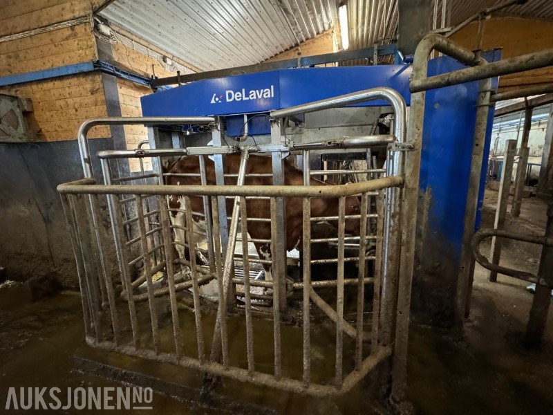 2013 DeLaval VMS melkerobot med 1 kraftfôrstasjon FSC40 - Høyre utgave - Steam - Innredning og grinder foran - Vakuumpumpe - Fortsatt i daglig drift - Machine agricole: photos 4 2013 DeLaval VMS melkerobot med 1 kraftfôrstasjon FSC40 - Høyre utgave - Steam - Innredning og grinder foran - Vakuumpumpe - Fortsatt i daglig drift - Machine agricole: photos 4
