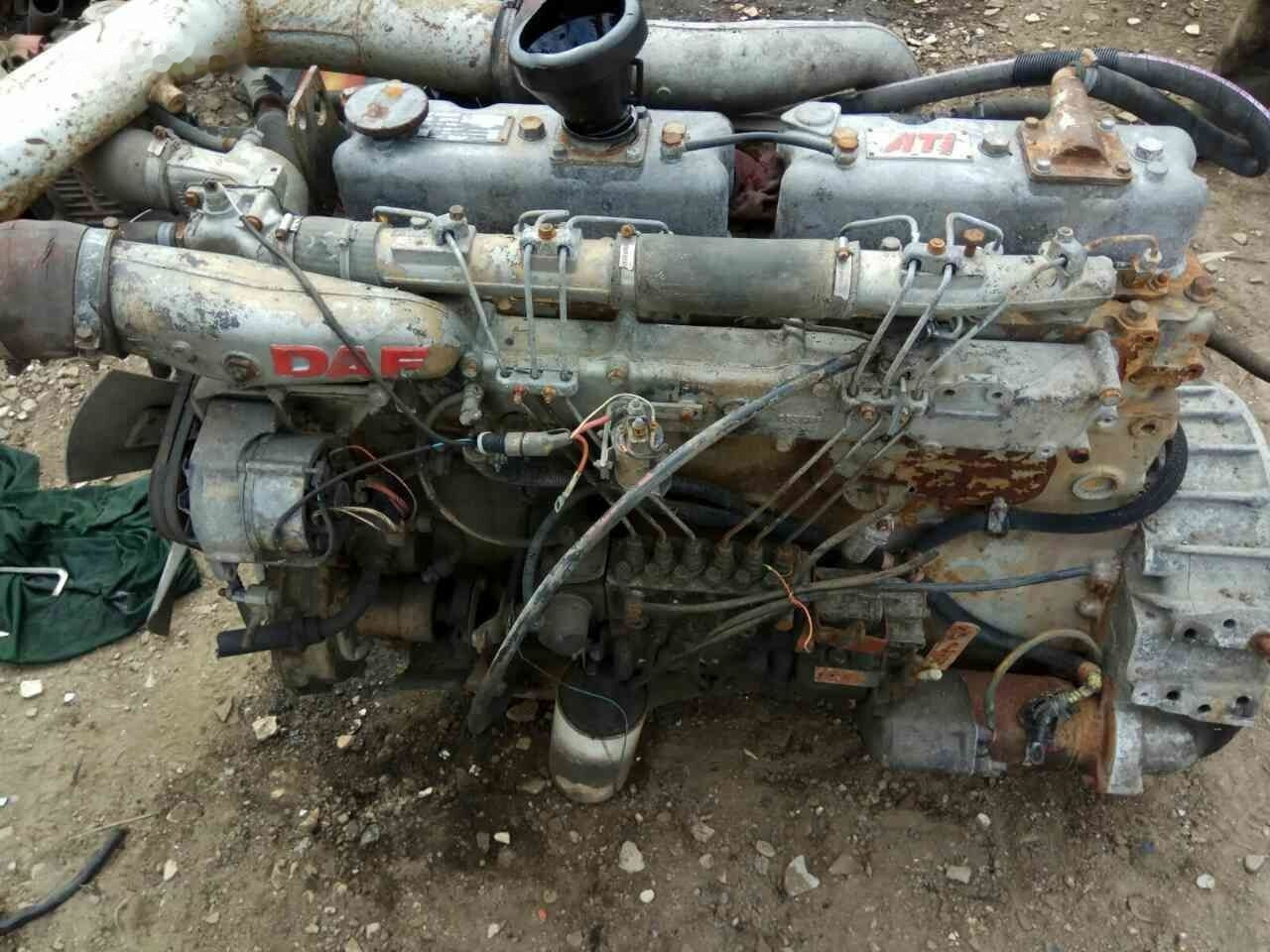 DAF ATI WS259 E2 DAF truck - Moteur pour Camion: photos 1 DAF ATI WS259 E2 DAF truck - Moteur pour Camion: photos 1