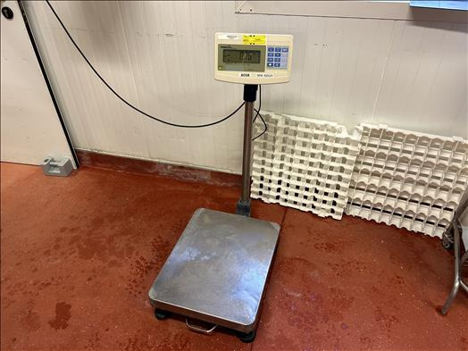 Precia Access Mini400 Platform scale - Machine agroalimentaire: photos 1 Precia Access Mini400 Platform scale - Machine agroalimentaire: photos 1