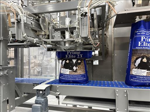 Machine d'emballage et de conditionnement Votech VLR-B Bag filling line: photos 7