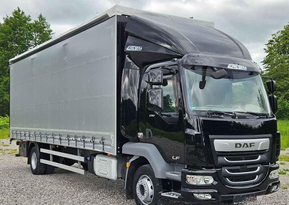 DAF LF 290/WINDA/16TON DMC/FIRANKA/AUTOMAT/16TON DMC/JEDEN WŁAŚCICIE/EURO 6/2019/SPROWADZONY/20PALET/NISKI PRZEBIEG/DUŻA ŁADOWNOŚĆ/JAK NOWY - Camion à rideaux coulissants: photos 2 DAF LF 290/WINDA/16TON DMC/FIRANKA/AUTOMAT/16TON DMC/JEDEN WŁAŚCICIE/EURO 6/2019/SPROWADZONY/20PALET/NISKI PRZEBIEG/DUŻA ŁADOWNOŚĆ/JAK NOWY - Camion à rideaux coulissants: photos 2