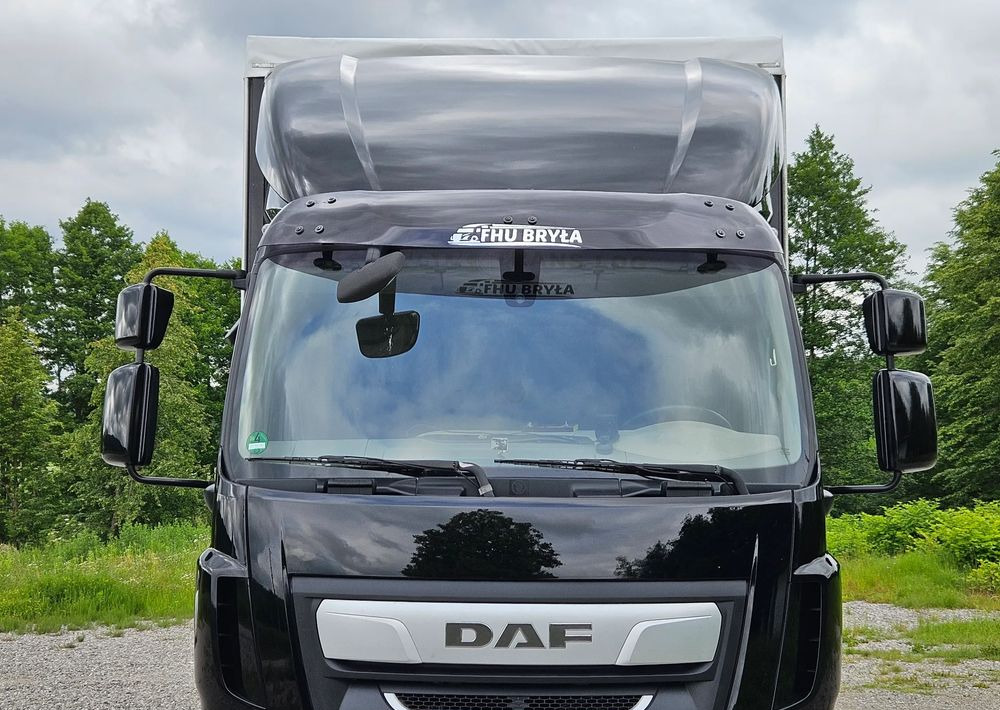 DAF LF 290/WINDA/16TON DMC/FIRANKA/AUTOMAT/16TON DMC/JEDEN WŁAŚCICIE/EURO 6/2019/SPROWADZONY/20PALET/NISKI PRZEBIEG/DUŻA ŁADOWNOŚĆ/JAK NOWY - Camion à rideaux coulissants: photos 5 DAF LF 290/WINDA/16TON DMC/FIRANKA/AUTOMAT/16TON DMC/JEDEN WŁAŚCICIE/EURO 6/2019/SPROWADZONY/20PALET/NISKI PRZEBIEG/DUŻA ŁADOWNOŚĆ/JAK NOWY - Camion à rideaux coulissants: photos 5
