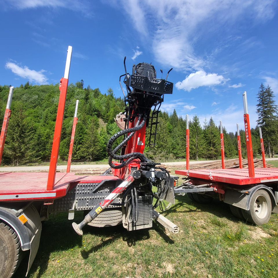 Camion grumier, Camion grue pour transport de bois VOLVO FMX 500: photos 8