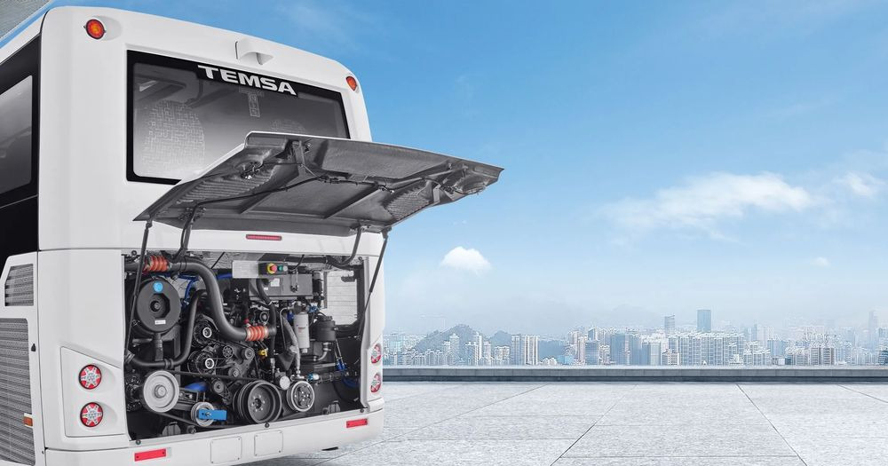 Temsa MD LE - Bus urbain: photos 3 Temsa MD LE - Bus urbain: photos 3